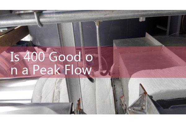 Is 400 Good on a Peak Flow Meter: Interpreting Results Within a Personalized Asthma Action Plan