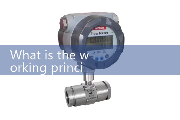 Roots flowmeter price