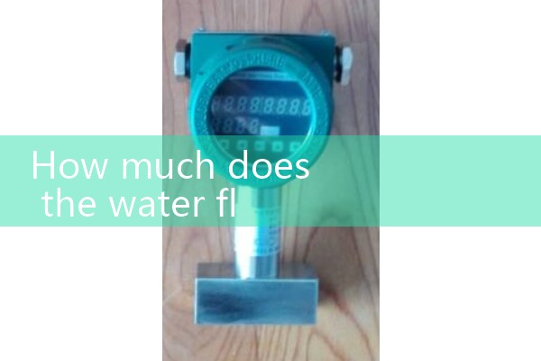 How much does a water flow meter cost