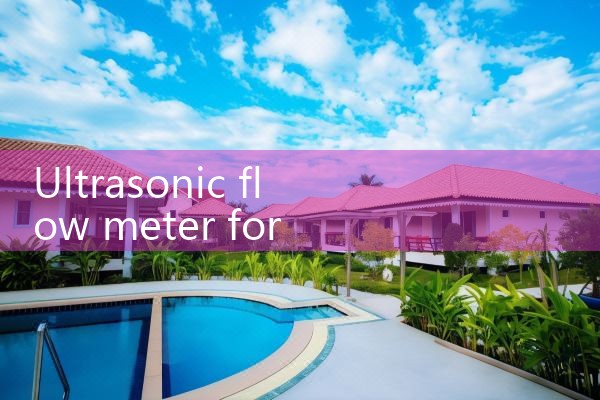 ultrasonic flow meter for LPG|digital flow meter