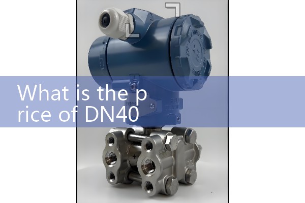 DN40 flowmeter