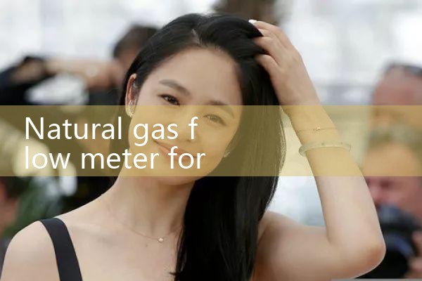 natural gas flow meter for hazardous area|digital flow meter