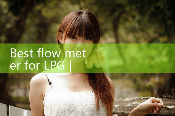 best flow meter for LPG|digital flow meter