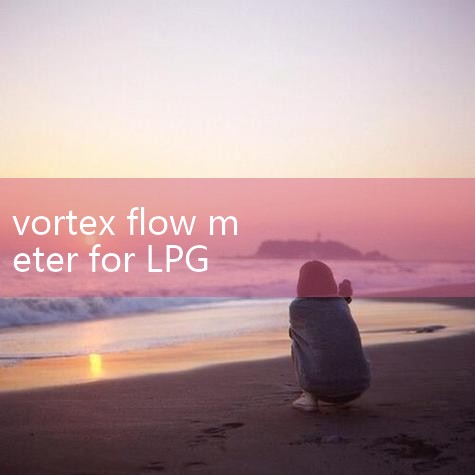 Fuel Turbine Flow Mete|24VDC Steam Vortex Air Fl|Professional Steam Water |Flowm|digital flow meter