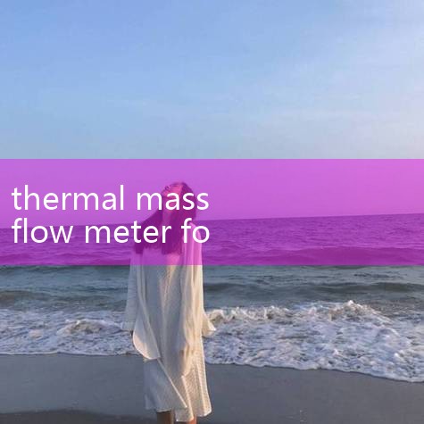 Flow measurement for all industries & different applications by Endress+Hauser. Browse through our w|turbine flow meter