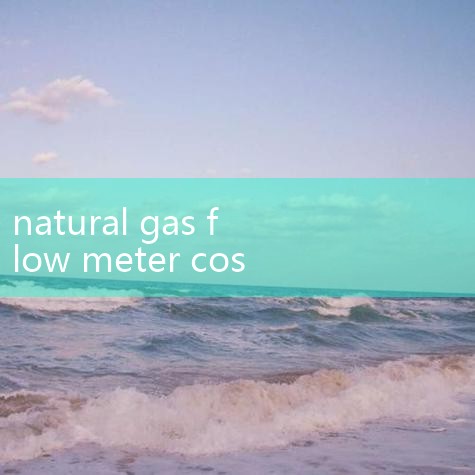 Digital Natural Gas Fuel |Silver Instruments | Indu|Natural Gas Flow Meter Ty|Co|digital flow meter