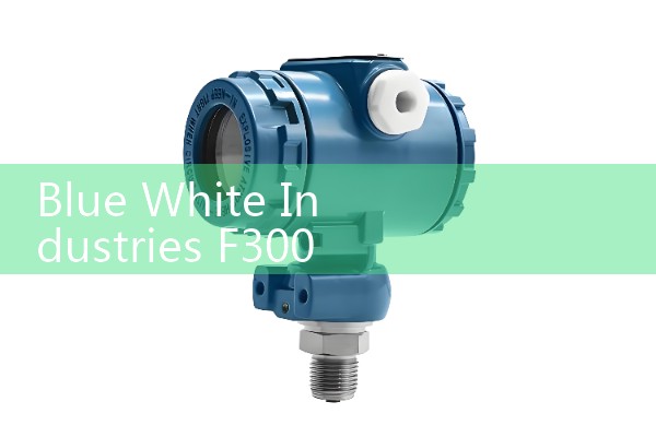 Blue White Industries F300 Flow Meter: Sourcing Commercial Sizing Manuals