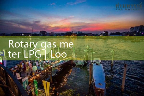 rotary gas meter LPG|digital flow meter