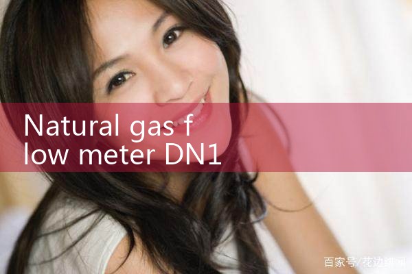 natural gas flow meter DN15|digital flow meter