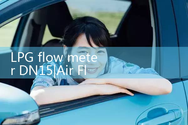 LPG flow meter DN15|digital flow meter