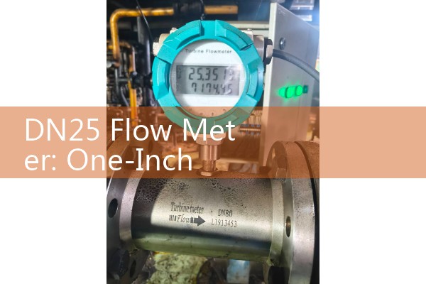 DN25 Flow Meter: One-Inch Nominal Diameter Mechanical and Digital Valve Selection