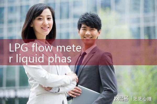 LPG flow meter liquid phase|digital flow meter