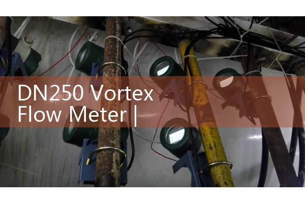 DN250 Vortex Flow Meter
