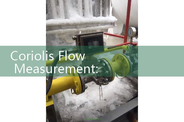 Coriolis Flow Measurement: Mass, Density & Temp