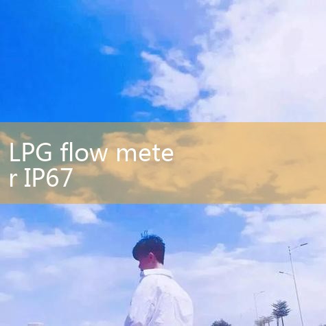 Bitumen Liquid Helium | [LPG Meter] - LPG Meter Manufacturer, Brand, Image, Hot Post - Alibaba | 2026 New Release: Jiangsu IP87 Leak Detector/Leak Detection Equipment Factory Cost saving Promotion | is Hy | Digital Flow Meter