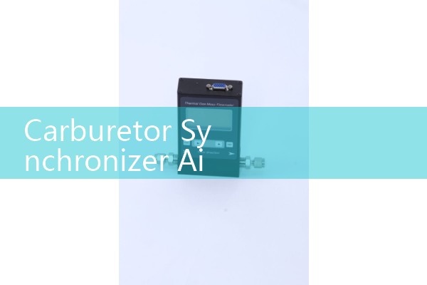 Mass flow meter transmitter