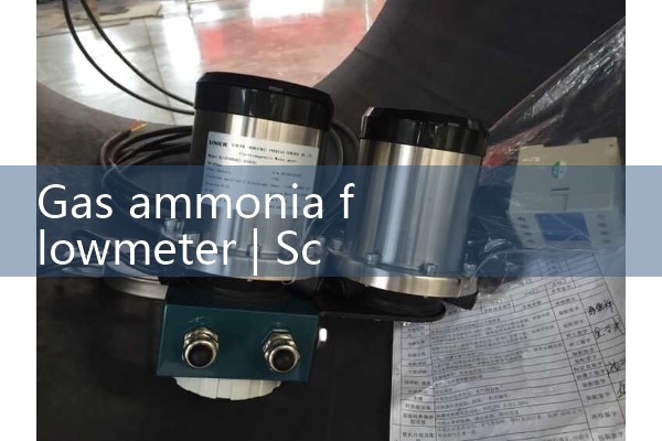 Gas ammonia flowmeter