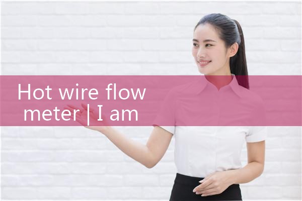 hot wire flow meter|turbine flow meter