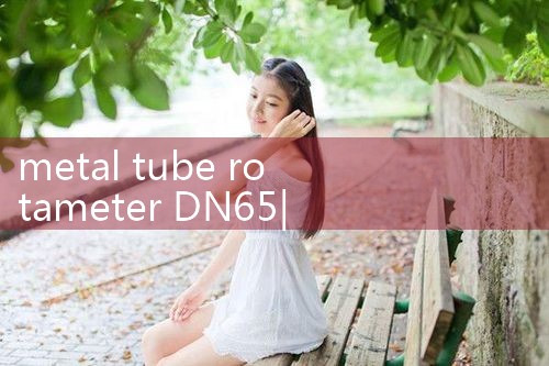 metal tube rotameter DN65|turbine flow meter