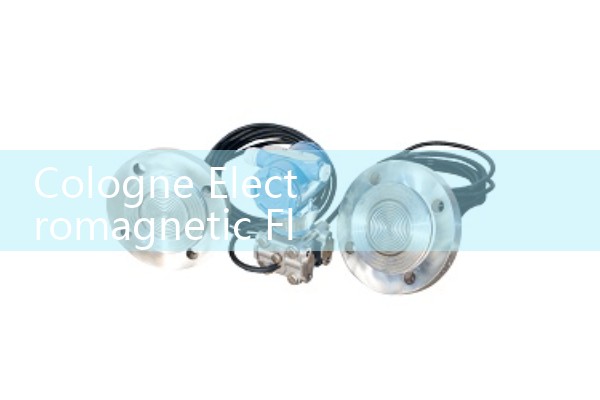 Cologne electromagnetic flowmeter official website