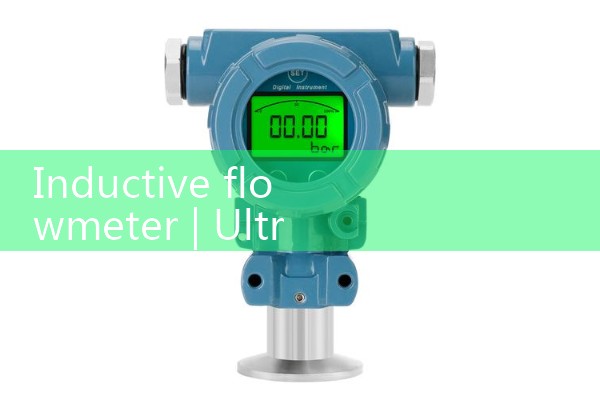 Induction flowmeter