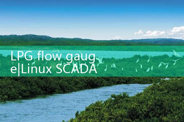 LPG flow gauge|digital flow meter