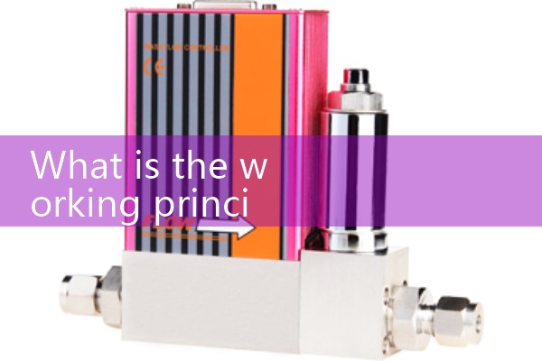 High density mass flowmeter