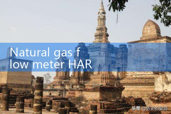 natural gas flow meter HART|digital flow meter