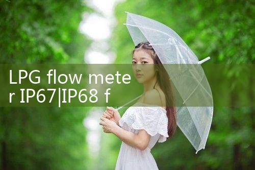 LPG flow meter IP67|digital flow meter