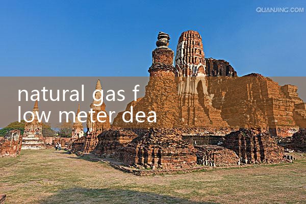 natural gas flow meter dealer|digital flow meter