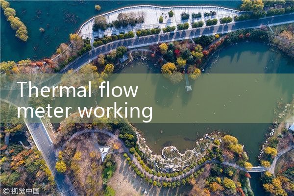 thermal flow meter working principle|turbine flow meter