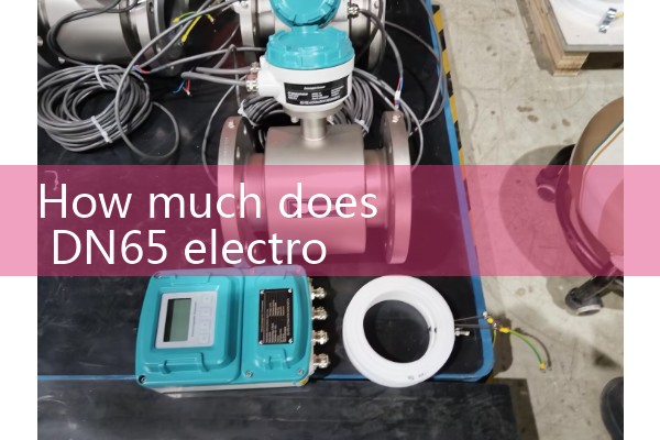 DN65 electromagnetic flowmeter