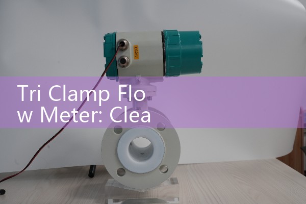 Thermal flowmeter