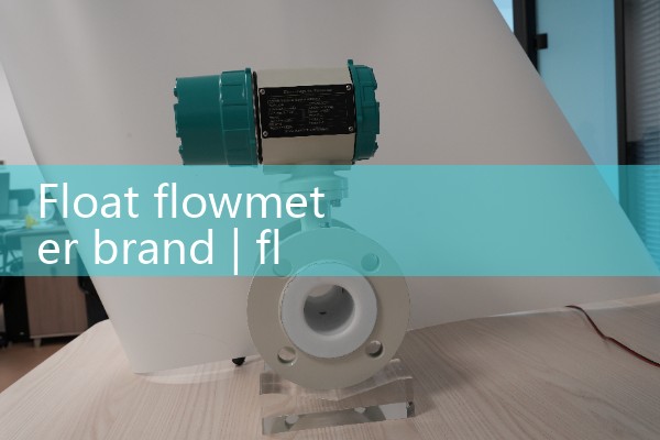 Float flowmeter brand