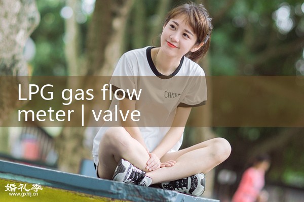 lpg gas flow meter|digital flow meter