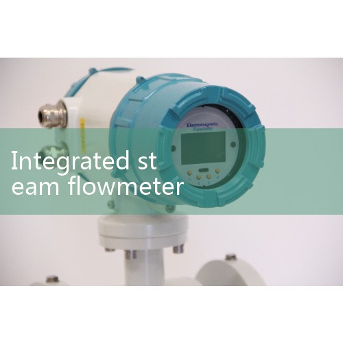 What are the well-known brands of steam flow meters? | Which brand of imported steam flow meters has a good reputation|