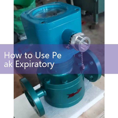 How to Use Peak Expiratory Flow Meter: Correct Patient Technique Tips