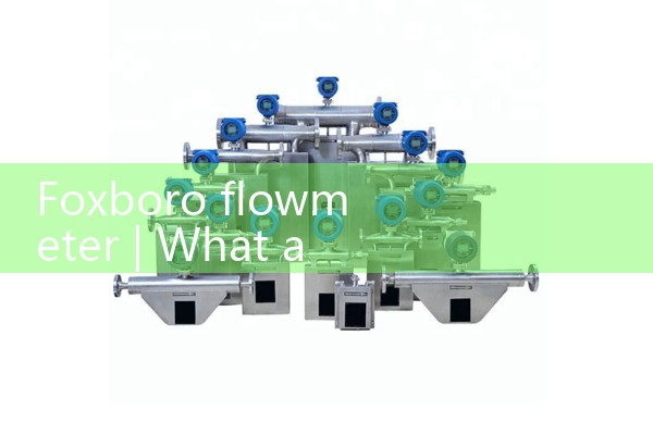 Foxboro flowmeter