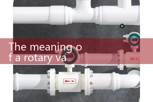 rotary meter|magnetic flow meter