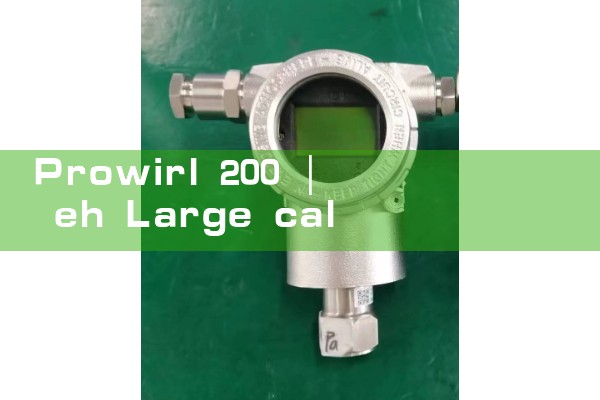 prowirl 200|mass flow meter