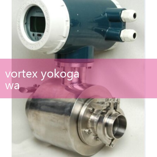 What are the top ten brands of ultrasonic flow meters|