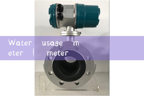 water usage meter|mass flow meter