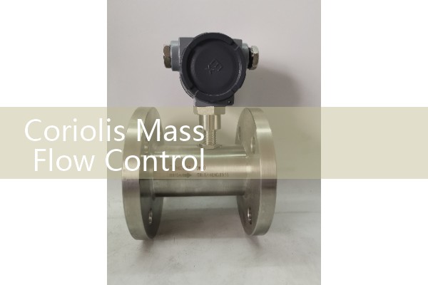 coriolis mass flow controller|heat flow meter