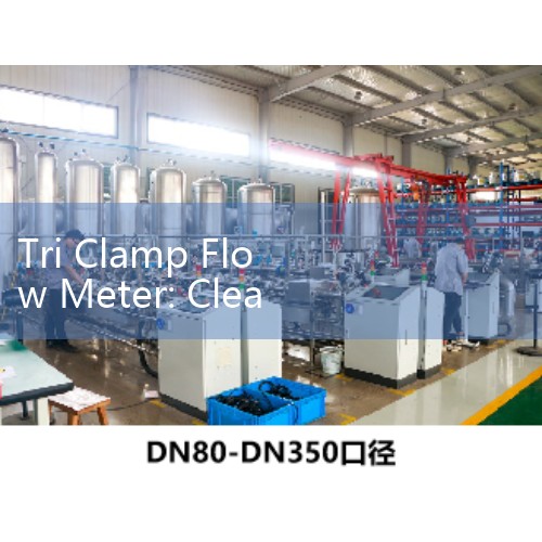 Tri Clamp Flow Meter: Clean-In-Place Sanitary Processing Sensors