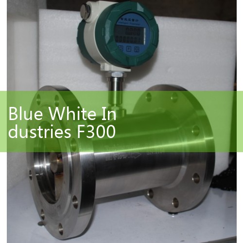 Blue White Industries F300 Flow Meter: Sourcing Commercial Sizing Manuals
