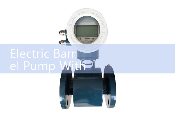 Electric Barrel Pump With Flow Meter Kit: Safe Fuel and Oil Transfer