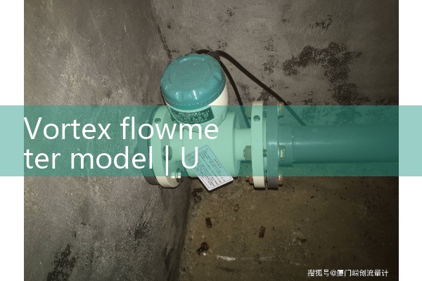 Vortex flowmeter model