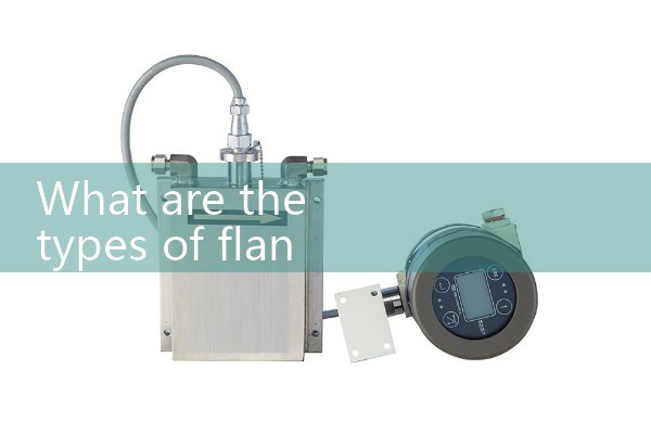 Flange mounted vortex flowmeter