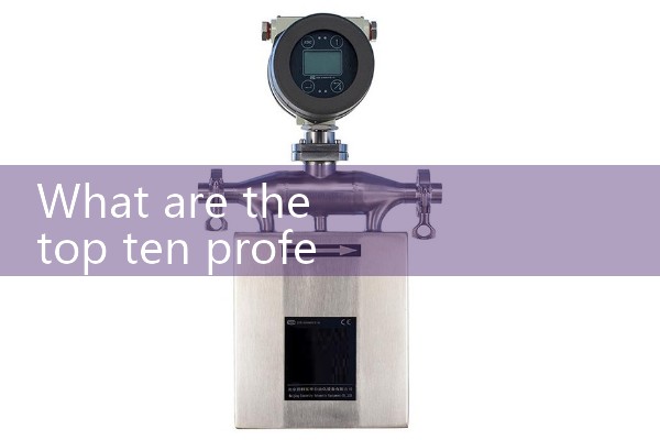 Professional vortex flowmeter manufacturer