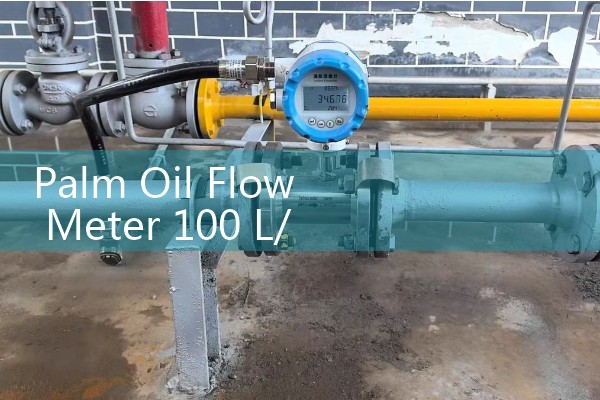 Palm Oil Flow Meter 100 L/h Small Line Diagnostic Benchmarks